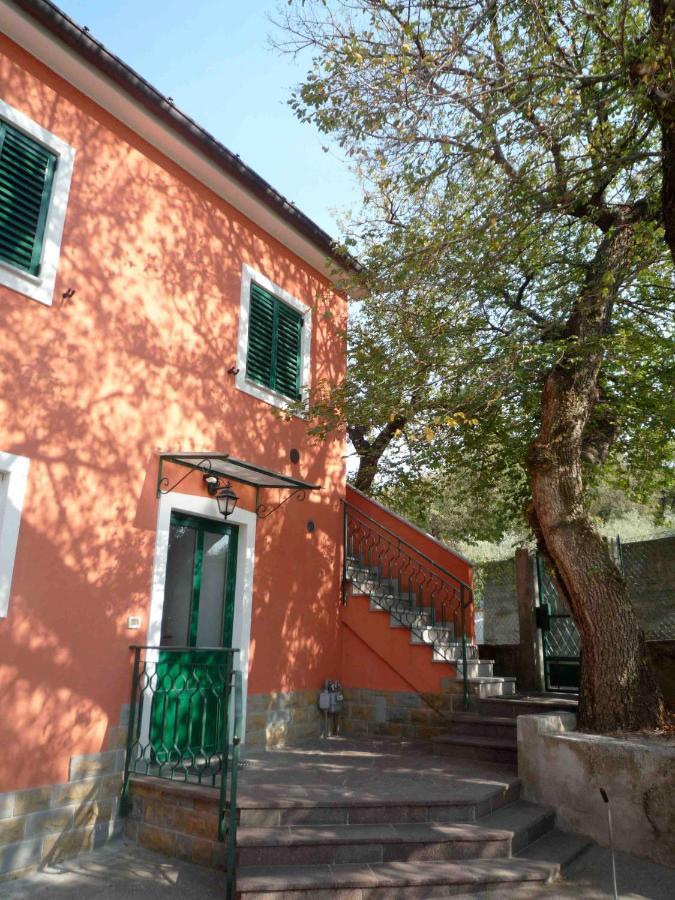 Ai 2 Olmi - Monolocali Nel Verde Múggia Eksteriør bilde